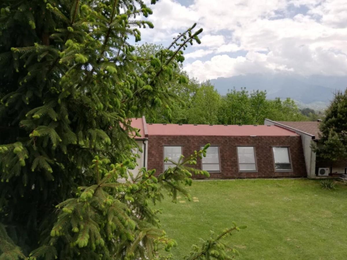 Pensiunea Muntele Rece Bran  Exteriér fotografie