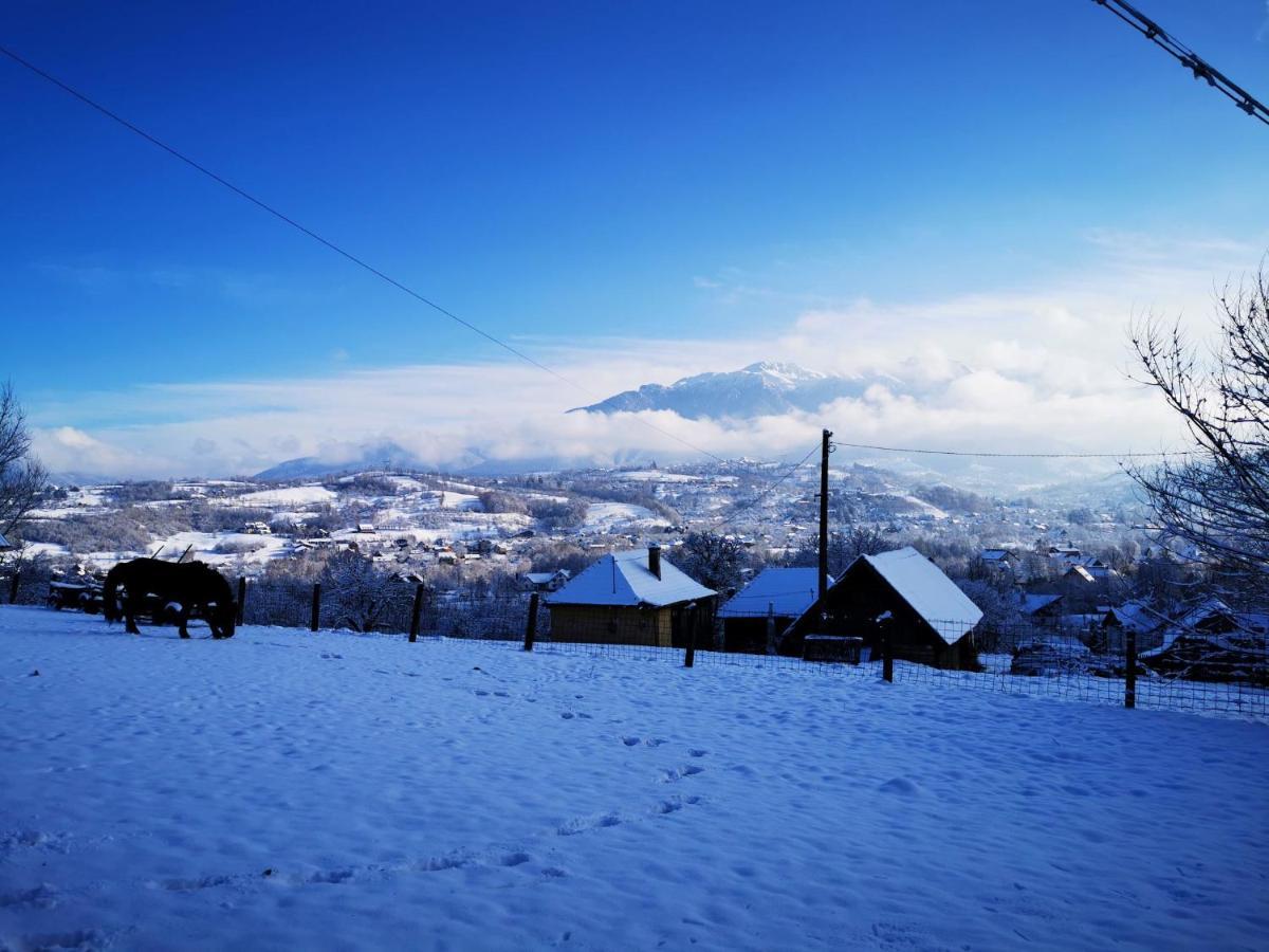 Pensiunea Muntele Rece Bran  Exteriér fotografie
