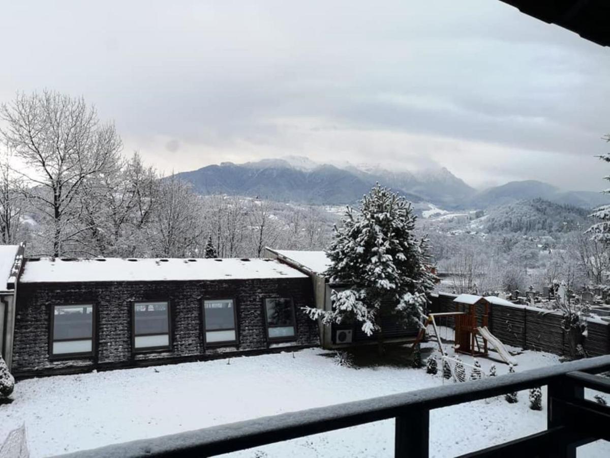 Pensiunea Muntele Rece Bran  Exteriér fotografie