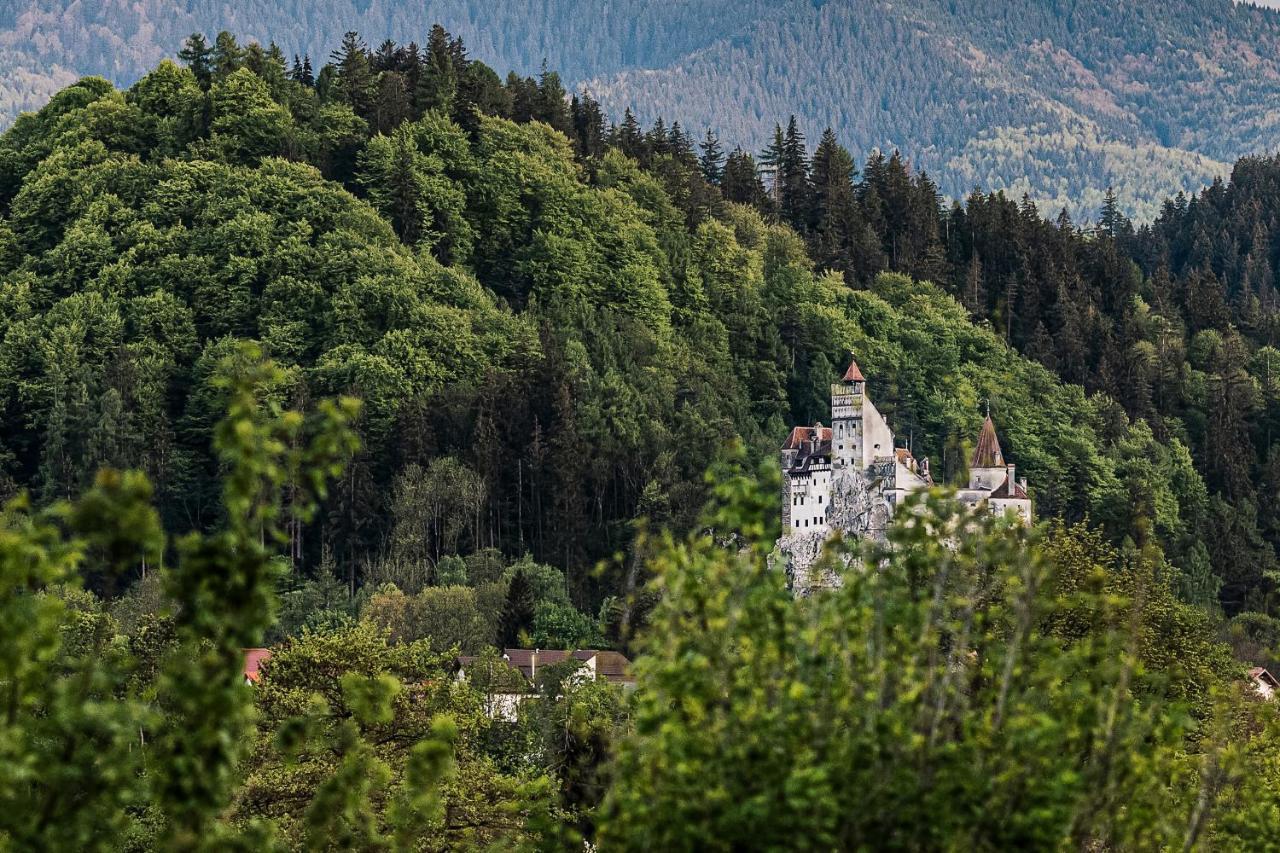 Pensiunea Muntele Rece Bran  Exteriér fotografie